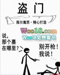 盗门九当家全部小说